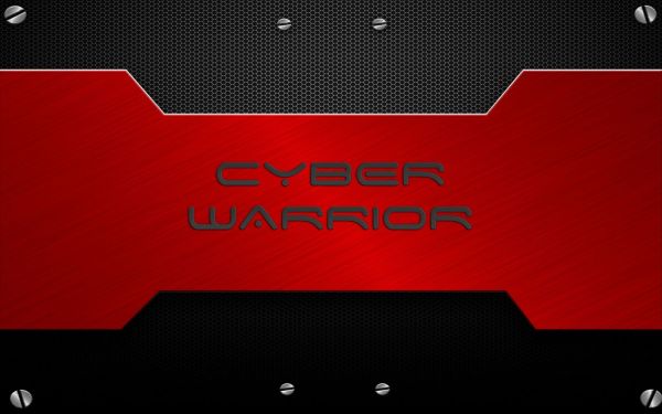 cyber warrior